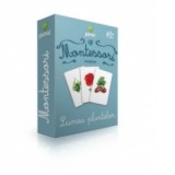 Carti de joc Montessori. Vocabular. Lumea plantelor