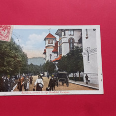 Prahova Sinaia Hotelul Caraiman Trasura Muscal horse carriage TCV