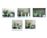 Cumpara ieftin Set 5 tablouri decorative olegrafie pe panza Flowers II 3 x 15 x 20 cm, 2 x 25 x 25 cm
