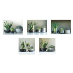 Set 5 tablouri decorative olegrafie pe panza Flowers II 3 x 15 x 20 cm, 2 x 25 x 25 cm