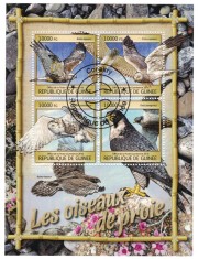 GUINEEA 2016 - Fauna, pasari de prada /colita + bloc ( 2 imagini)