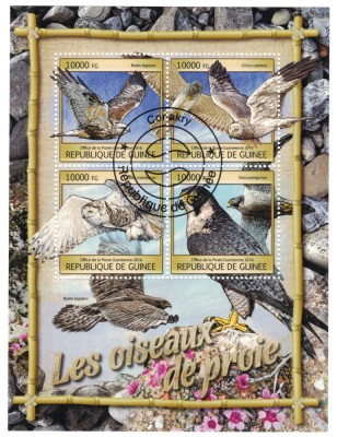 GUINEEA 2016 - Fauna, pasari de prada /colita + bloc ( 2 imagini) foto