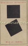 Sint Un Natarau - Sherwood Anderson, Editura Pentru Literatura Universala, 1966, Roman, 340 Pagini