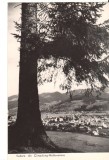 CPIB 22616 - CARTE POSTAL - VEDERE DIN CAMPULUNG MOLDOVENESC, RPR