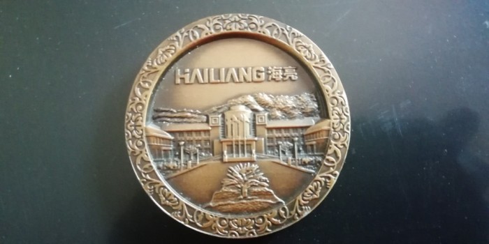 QW1 141 - Tematica economie - Corporatia Hailiang - China