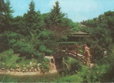 CPI B 11823 CARTE POSTALA - CLUJ-NAPOCA. GRADINA BOTANICA