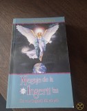 Mesaje de la ingerii tai ,ce vor ingerii tai sa stii - Doreen Virtue CARTE