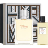 HERM&Egrave;S Terre d&rsquo;Herm&egrave;s Eau Givr&eacute;e set cadou pentru bărbați