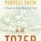 Toward a More Perfect Faith: 4 Stages in Your Pursuit of God