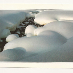 FA46-Carte Postala- AUSTRIA - Peisaj de iarna, necirculata