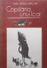 COPILARIA UNUI ICAR. LA UN VEAC DE LA NASTEREA LUI AUREL VLAICU-ION DODU BALAN-213240