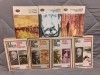 VARA INDIANA/RISCURILE PARVENIRII/SILAS LAPHAM/UN CAZ MODERN-WILLIAM HOWELLS