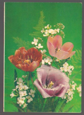 CPIB 20094 CARTE POSTALA - LALELE foto