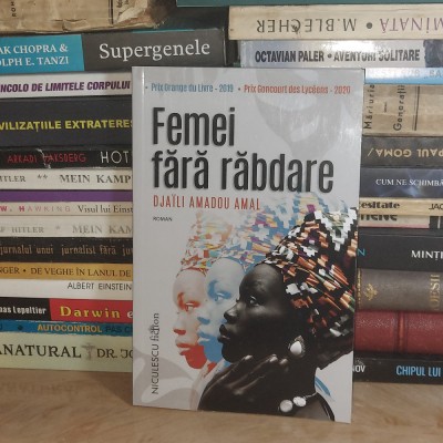 DJAILI AMADOU AMAL - FEMEI FARA RABDARE ( ROMAN ) , 2024 # foto