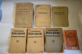 Carti Eugen Relgis Petru Arbore, Peregrinari, Melodiile tacerii, Umanitarismul