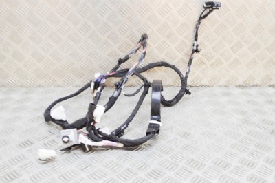 Cablaj ușă st&amp;acirc;nga spate TESLA MODEL X 2020 OEM: 1032881-00-G 21095970 foto