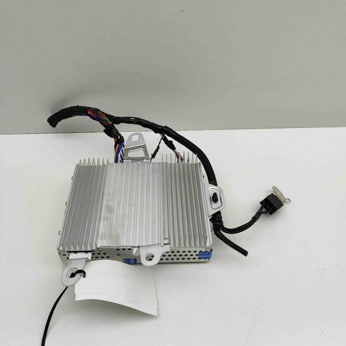 Amplificator de sunet TESLA MODEL Y 2024 OEM: 1507152-01-B