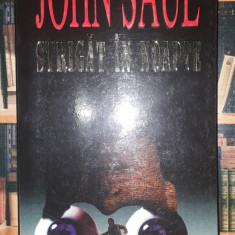 John Saul - Strigat in noapte