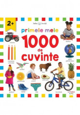 Primele mele 100 de cuvinte foto