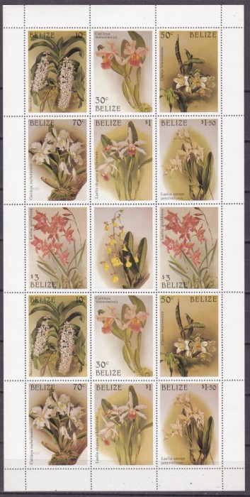 Belize 1987 flori orhidee MI 973-986 (2 kleib) + 2 bl.94, A94 MNH 3 poze
