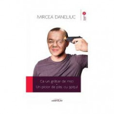 Ca un gratar de mici. Un picior de plai, cu spitul - Mircea Daneliuc