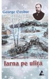 Iarna pe ulita - George Cosbuc