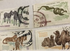 Timbre Serii Romania Fauna Savana