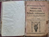 Carte cultivarea viei an 1912, Casa