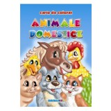 Animale domestice - Carte de colorat A5