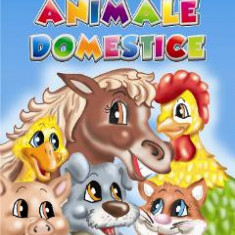 Animale domestice - Carte de colorat A5