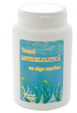 Crema anticelulitica alge marine 1000ml, KOSMO LINE