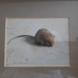 H. T. N. Helmantel - &quot;Little mouse 1&quot; - 1983 (print 9/6,5 cm)