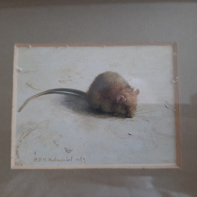 H. T. N. Helmantel - &amp;quot;Little mouse 1&amp;quot; - 1983 (print 9/6,5 cm) foto