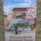 MINIMARKETUL DOAMNEI YEOM - KIM HO-YEON