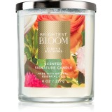 Bath &amp; Body Works Brightest Bloom lum&acirc;nare parfumată 227 g
