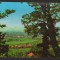 CPIB 20473 CARTE POSTALA - SIBIU