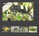 BOTSWANA 2024 FAUNA INSECTE