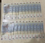 Bancnota de 20 de lei colectie, Litera