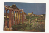 FA40 -Carte Postala- ITALIA - Roma, Foror Romano, necirculata, Fotografie