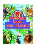 Descoperim lumea...printre labirinturi - Paperback brosat - *** - Corint Junior