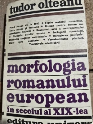 Morfologia romanului european in secolul al XIX-lea - Tudor Olteanu foto