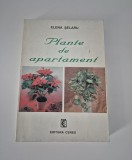 Elena Selaru Plante de apartament