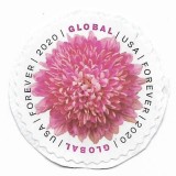 SUA - Flori - Crizantema, 2020 - uzata, Flora, Nestampilat
