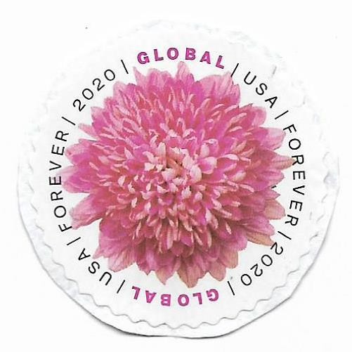 SUA - Flori - Crizantema, 2020 - uzata