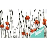 Cumpara ieftin Wildlife Photographer of the Year: Sticky Notes