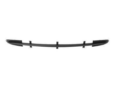 Grila bara protectie, spoiler Mercedes Clasa Clk (C209) 06.2002-03.2010, montare fata, grunduit, RapidAuto foto