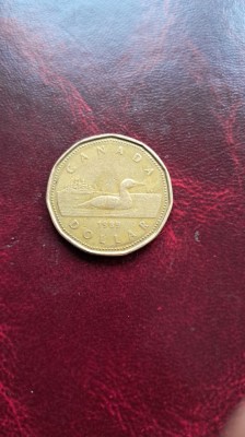 Canada 1 dollar 1989 foto