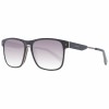 Ochelari de Soare Bărbați Sting SST38455AAHY &Oslash; 55 mm, Plastic, Galben, Polaroid