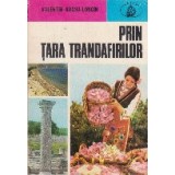 Prin tara trandafirilor