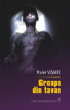 Groapa din tavan - Hardcover - Matei Vişniec - Cartea Rom&acirc;nească